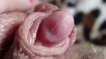 Close up of a big and beautiful clit head of a pretty white girl.